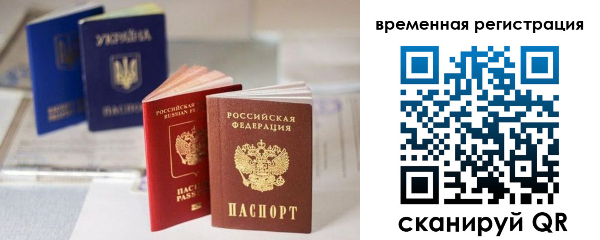 прописка поиск в Керчи